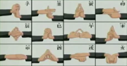 File:Naruto Hand Seals.png