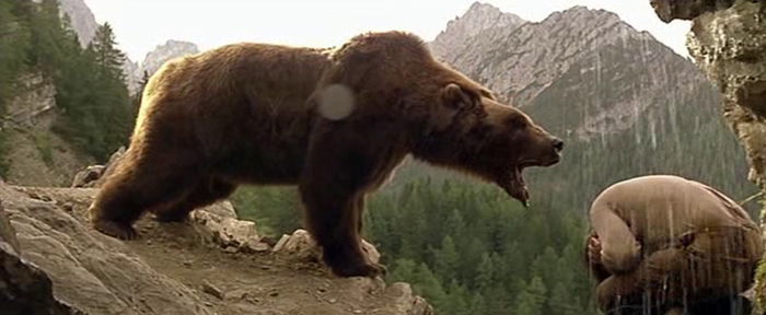 File:Orso Bart.jpg