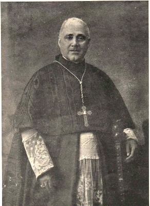 File:Giulio Serafini, cardinale.jpg