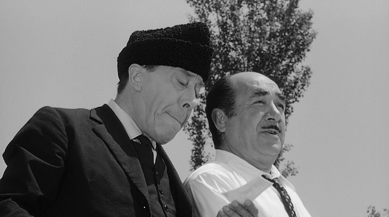 File:Bruscodoncamillo.jpg