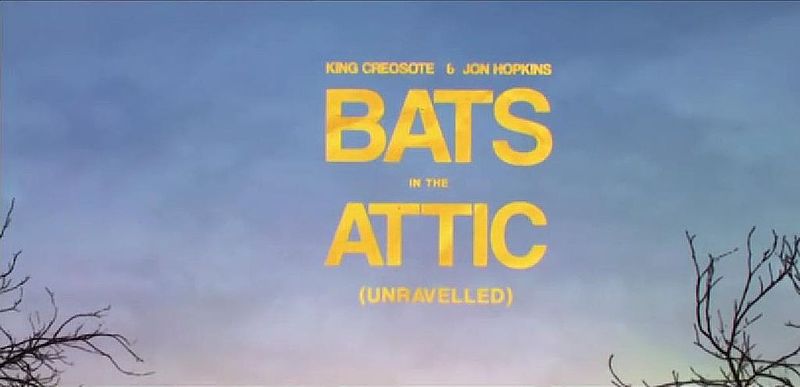 File:Bats in the Attic.jpg