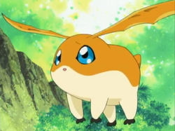 Patamon.png