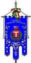 Tronzano Vercellese – Bandiera