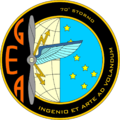 Distintivo del Gruppo efficienza aeromobili