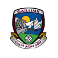 Stemma della squadra di calcio gaelico fino al 2013