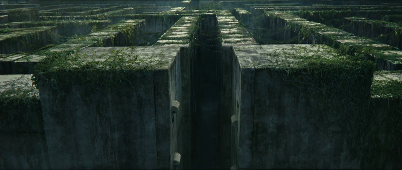 File:Maze Runner - Il labirintо.png