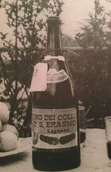 File:Vino Colli di Sant'Erasmo.jpg