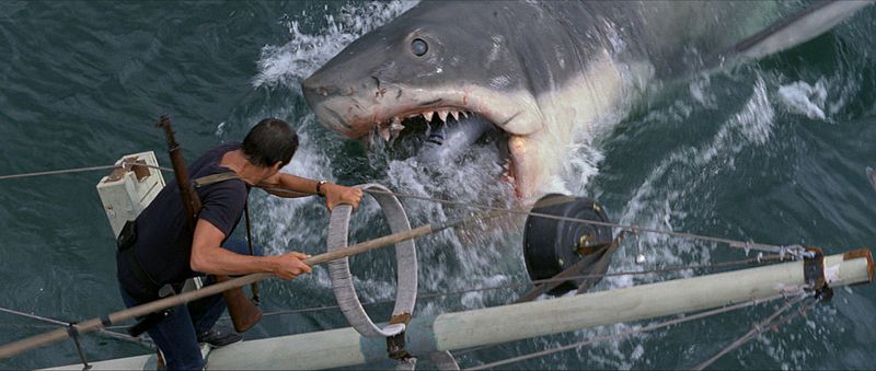 File:Jaws.JPG