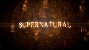 Miniatura per Episodi di Supernatural (ottava stagione)