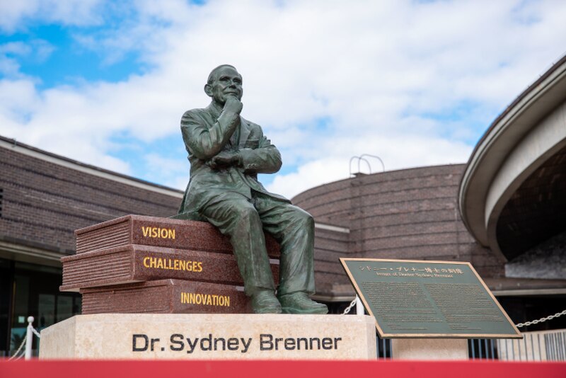 ファイル:Dr Sydney Brenners statue 20201127.jpg