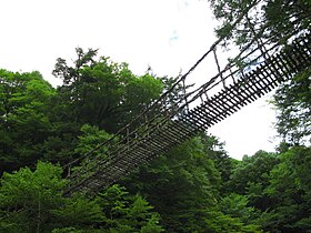 奥祖谷二重かずら橋