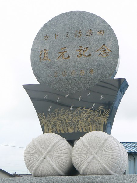 ファイル:イタイイタイ病 鵜坂地区カドミウム汚染田復元記念碑1.jpg