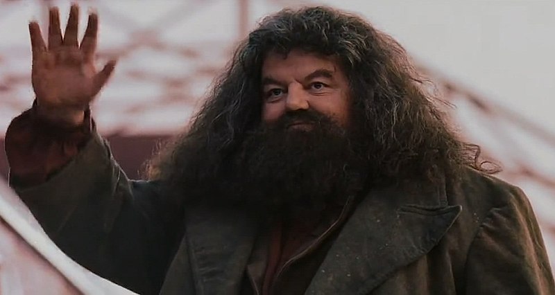Barkas:Hagrid3.jpg