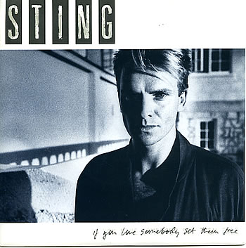 ფაილი:Sting-If-You-Love-Someb-47868.jpg