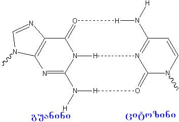 ფაილი:GC Watson Crick basepair ka.PNG