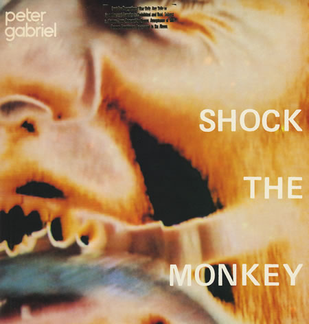 ფაილი:Peter-Gabriel-Shock-The-Monkey-361293.jpg