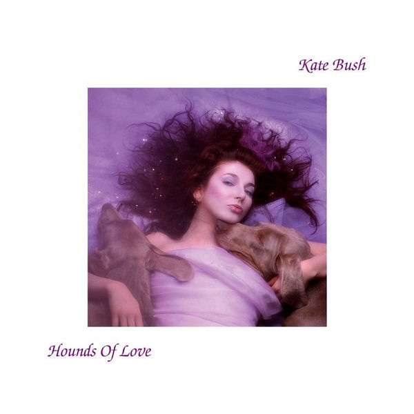 ფაილი:Hounds of love.jpg