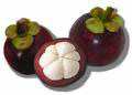 ឯកសារ:Mangosteen1.jpg