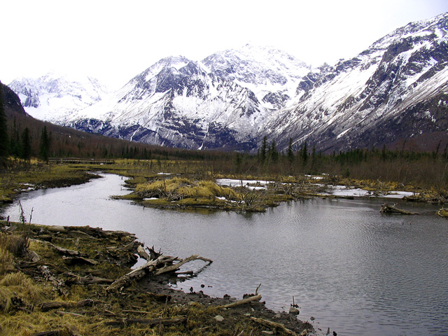 파일:Eagle River Alaska Apr 2007.jpg