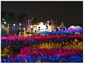 Seoul-Pampas Grass Festival-02