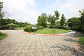 Seoul-Yeouido Park-Promenade-01.jpg