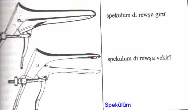 Wêne:Spekûlûm bo pishkînê.jpg