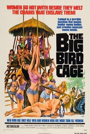 Vaizdas:Big bird cage.jpg