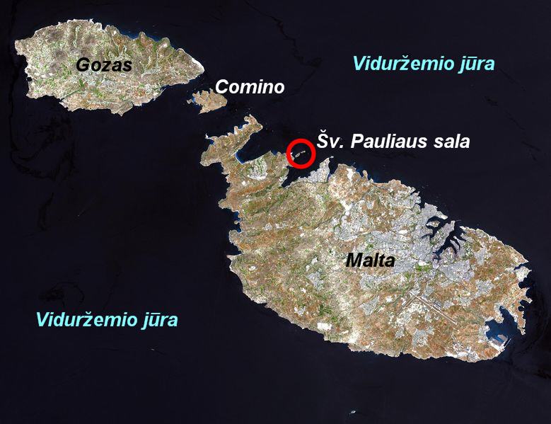 Vaizdas:Malta sv. pauliaus.jpg