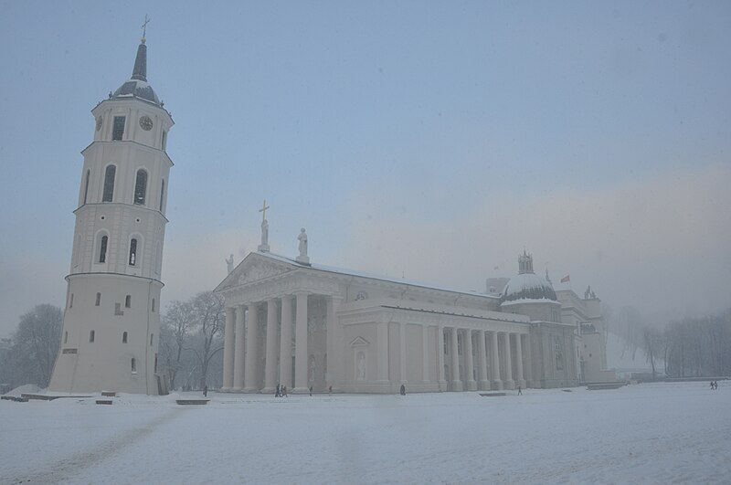 Vaizdas:Vilniaus katedra apimta pūgos.jpg