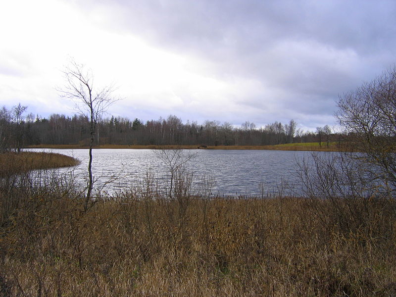 Attēls:Lake Audeļu (Kovaļišku).jpg