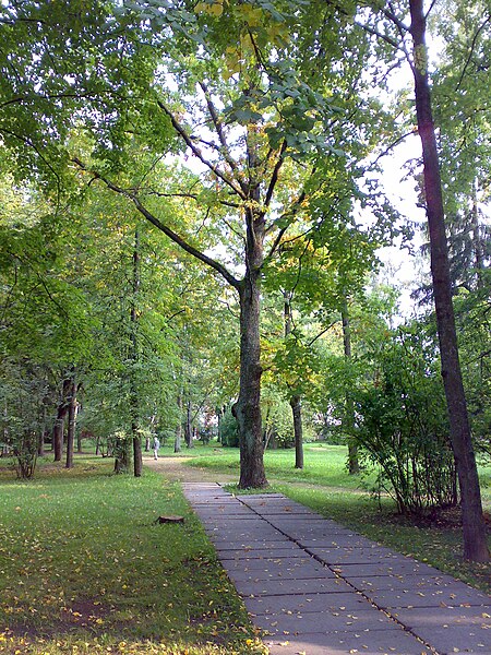 Attēls:Krustpils pilsētas parks3.jpg