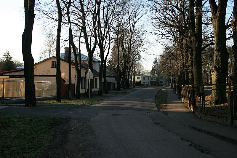 Attēls:Rīga Konsula iela 01.2012.jpg