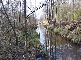 Vārniņa augštecē, augšpus Salām