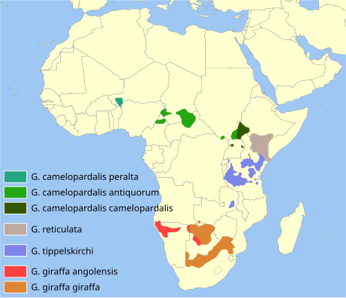 Attēls:Giraffa distribution.svg