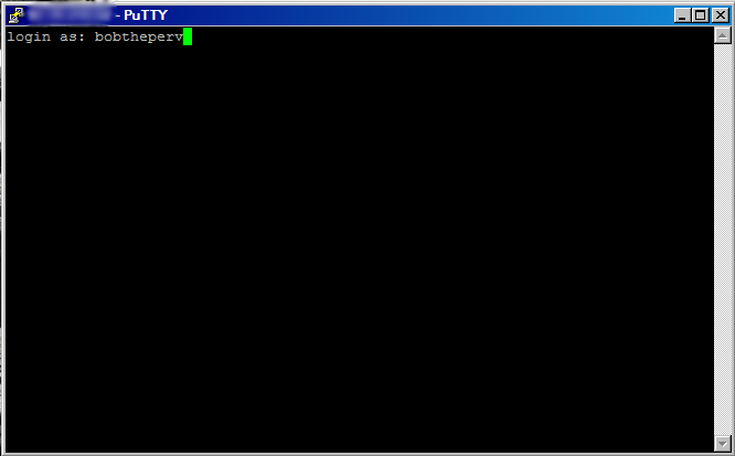 File:Putty command window.png