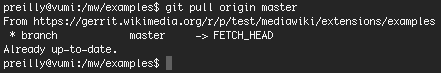 File:Git pull origin master 2.png