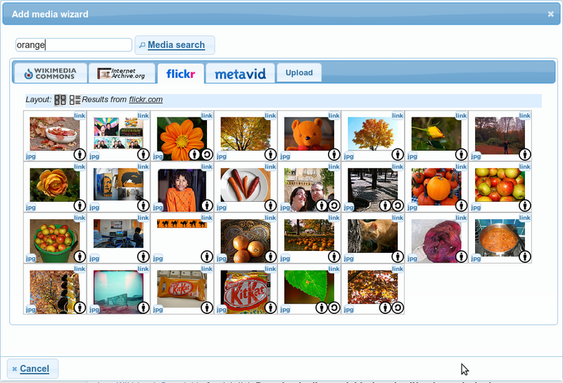 File:Add media wizard screen shot orange oct 2009.png