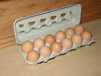 Податотека:Dozen-eggs.jpg