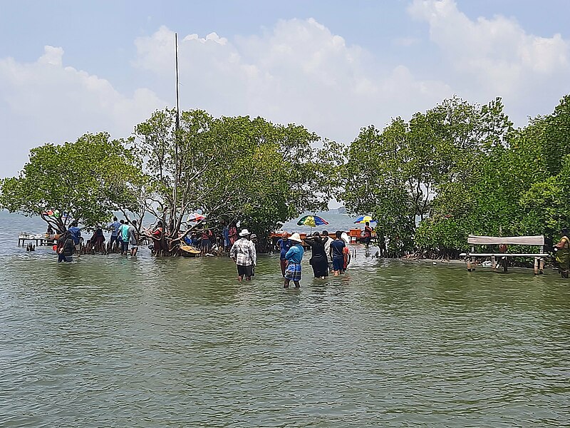 പ്രമാണം:Sambranikodi Kollam 1.jpg