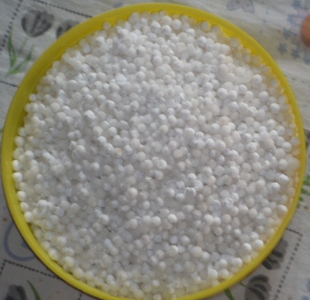 चित्र:Sabudana.jpg