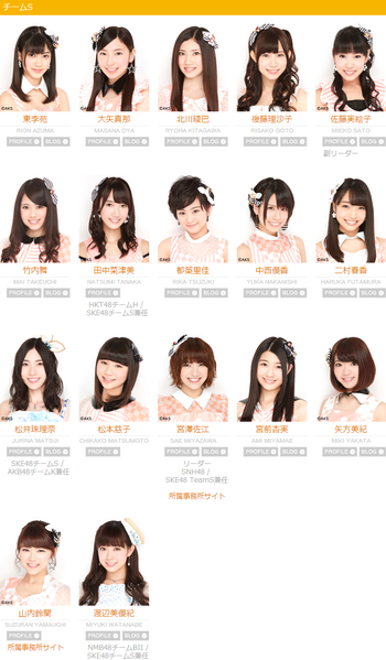 Fail:SKE48 Team S.png