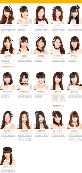 Fail:SKE48 TeamKII.png