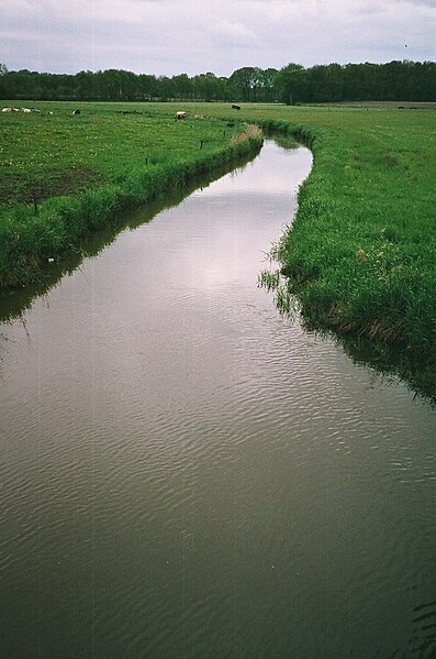 Bestaand:De Riest bi'j de Wiek, Drenthe.JPG