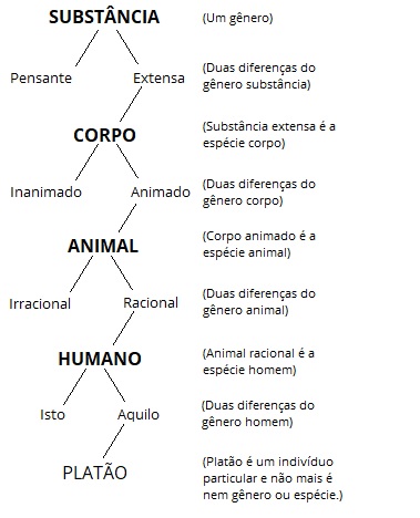 Esta imagem é uma ilustração da noção de uma árvore porfiriana conforme chega a nós através da tradição filosófica e lógica europeia.