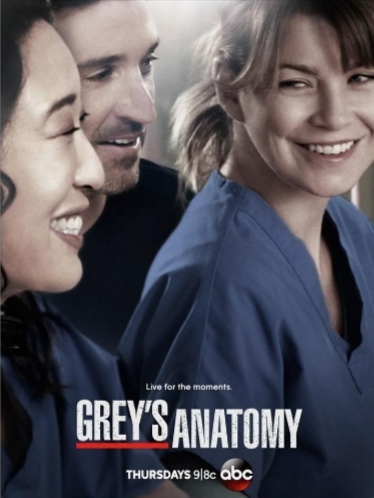 Ficheiro:Grey's Anatomy poster temporada 10.jpg