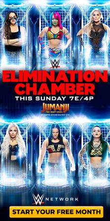 Ficheiro:EliminationChamber2020promotionalposter.jpg