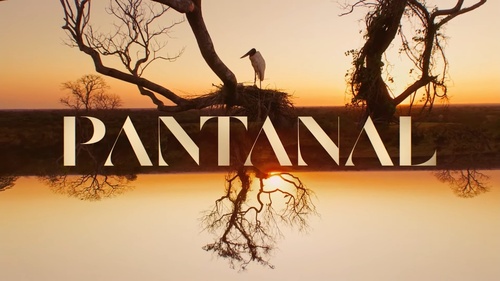 Ficheiro:Logotipo de Pantanal (2022).jpg