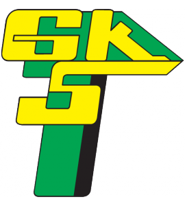 Ficheiro:Górnik Łęczna logo.png