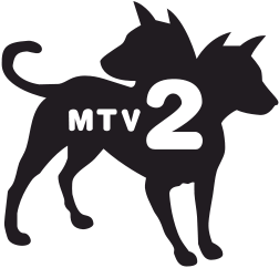 Ficheiro:Mtv2 logo.png