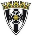 Ficheiro:Amarante FC.png